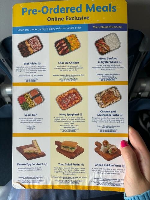 国际航班禁带食品清单截图