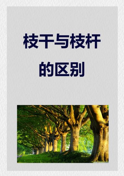枝干和枝杆图标