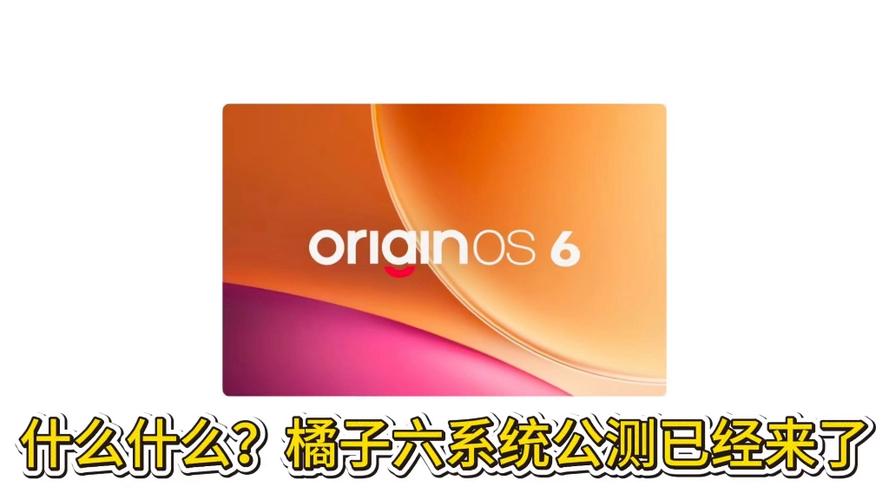 vivo橘子系统安装包截图