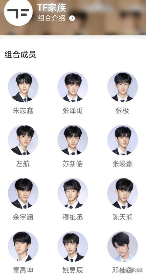 TF家族三代有哪些人图标