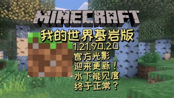 手机版我的世界基岩版真实光影下载截图