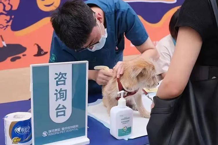 金丝熊有狂犬病能活几天