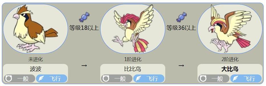 波波几级进化成比比鸟图标