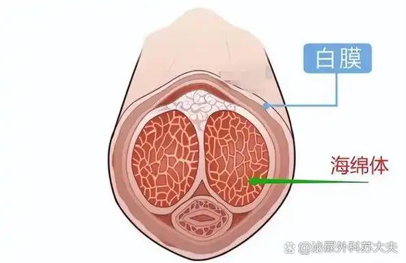 钢化膜需要把原厂膜撕掉吗