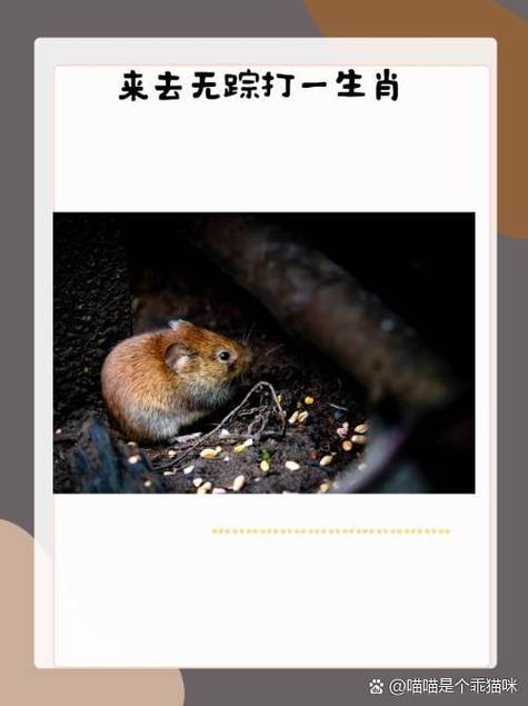 银行转账对方卡注销了图标