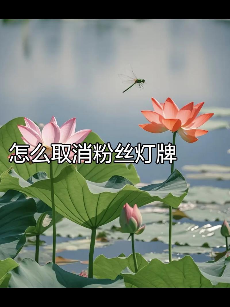 在别人家不显示粉丝灯牌的方法截图