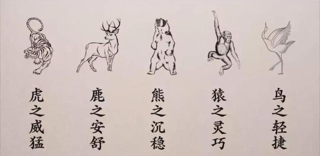 五禽戏视频教程缩略图