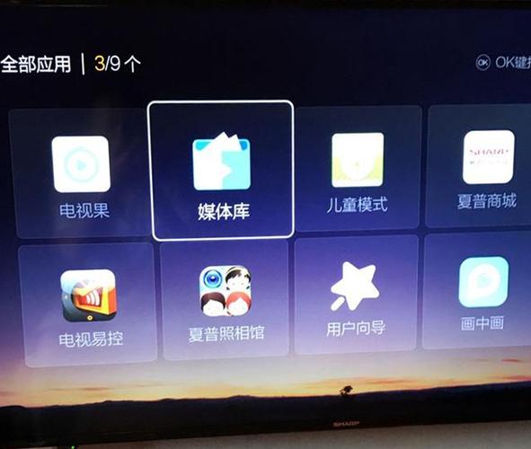 夏普应用商店进不去图标