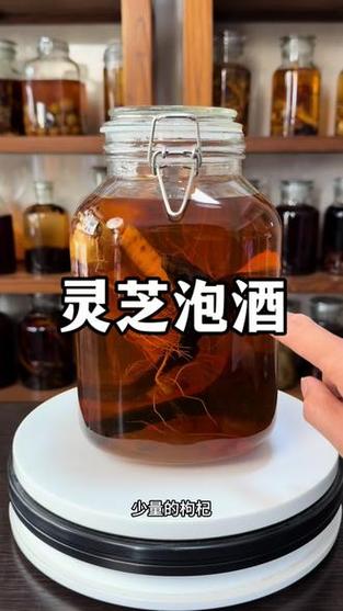 灵芝的正确泡酒方法