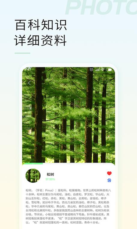 华为手机识物功能在哪