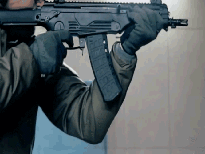 澪ultimate维克枪械模组下载游戏截图
