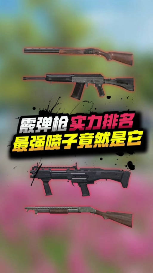 和平精英哪个喷子最好用截图