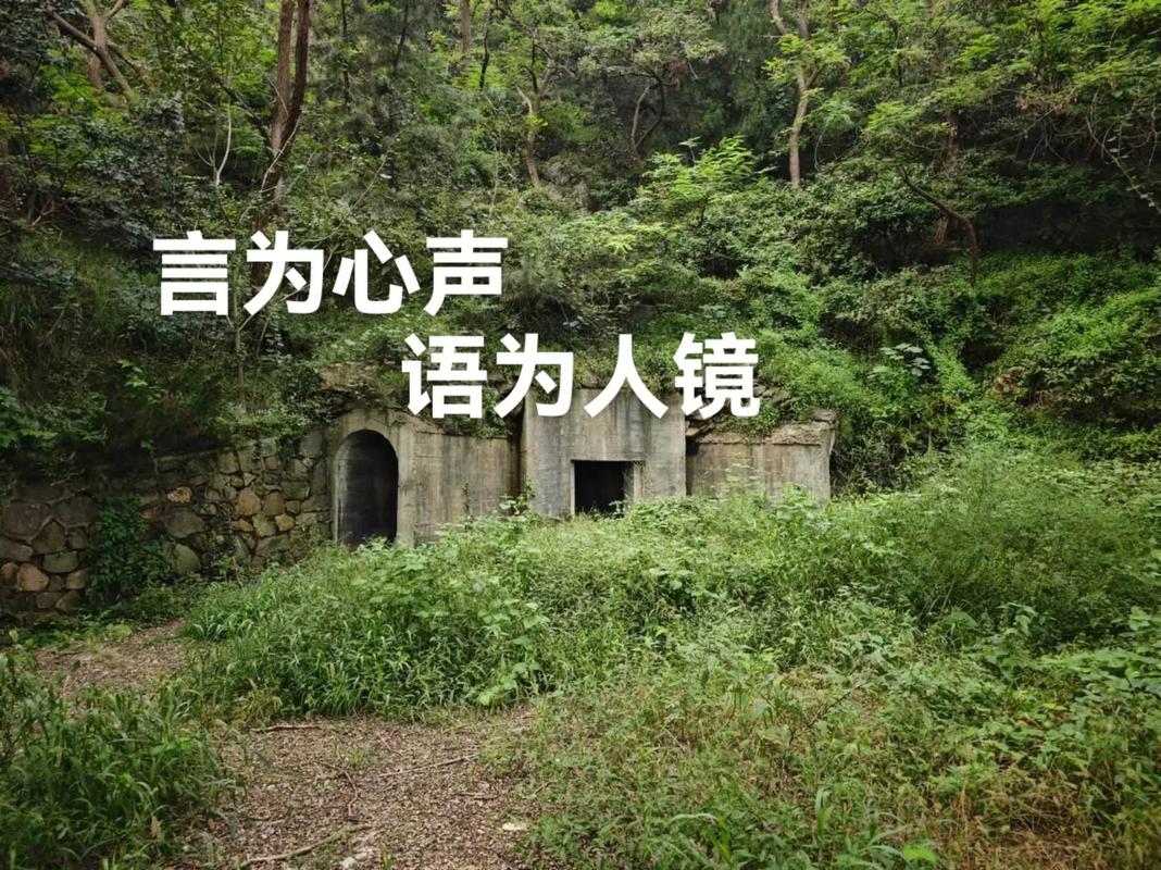 树洞现在改名叫什么了图标