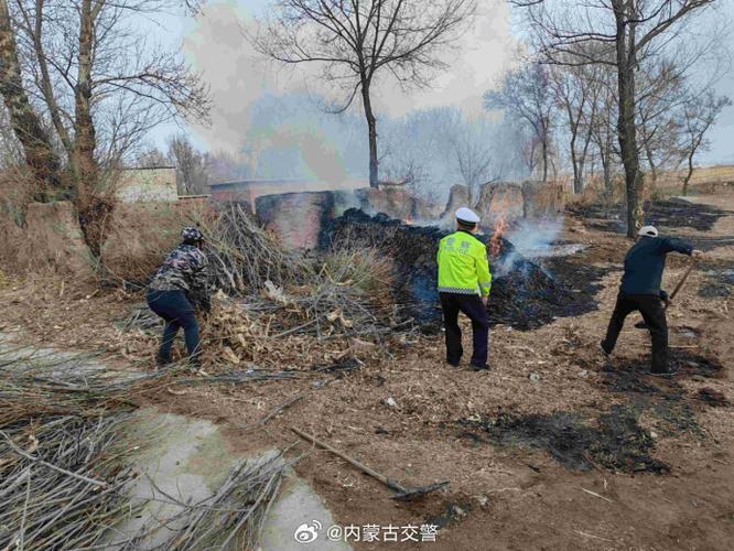 我的世界村民冒爱心后冒火截图