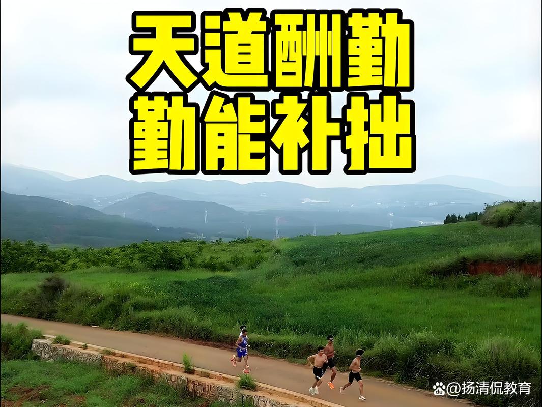 荒野求生天道酬勤截图