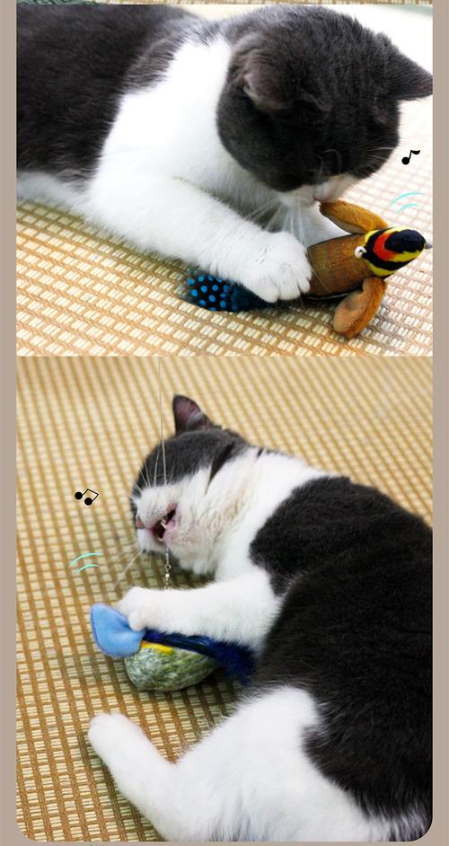 小猫叫声吸引猫图标