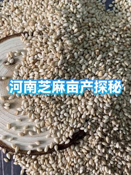芝麻原产地缩略图