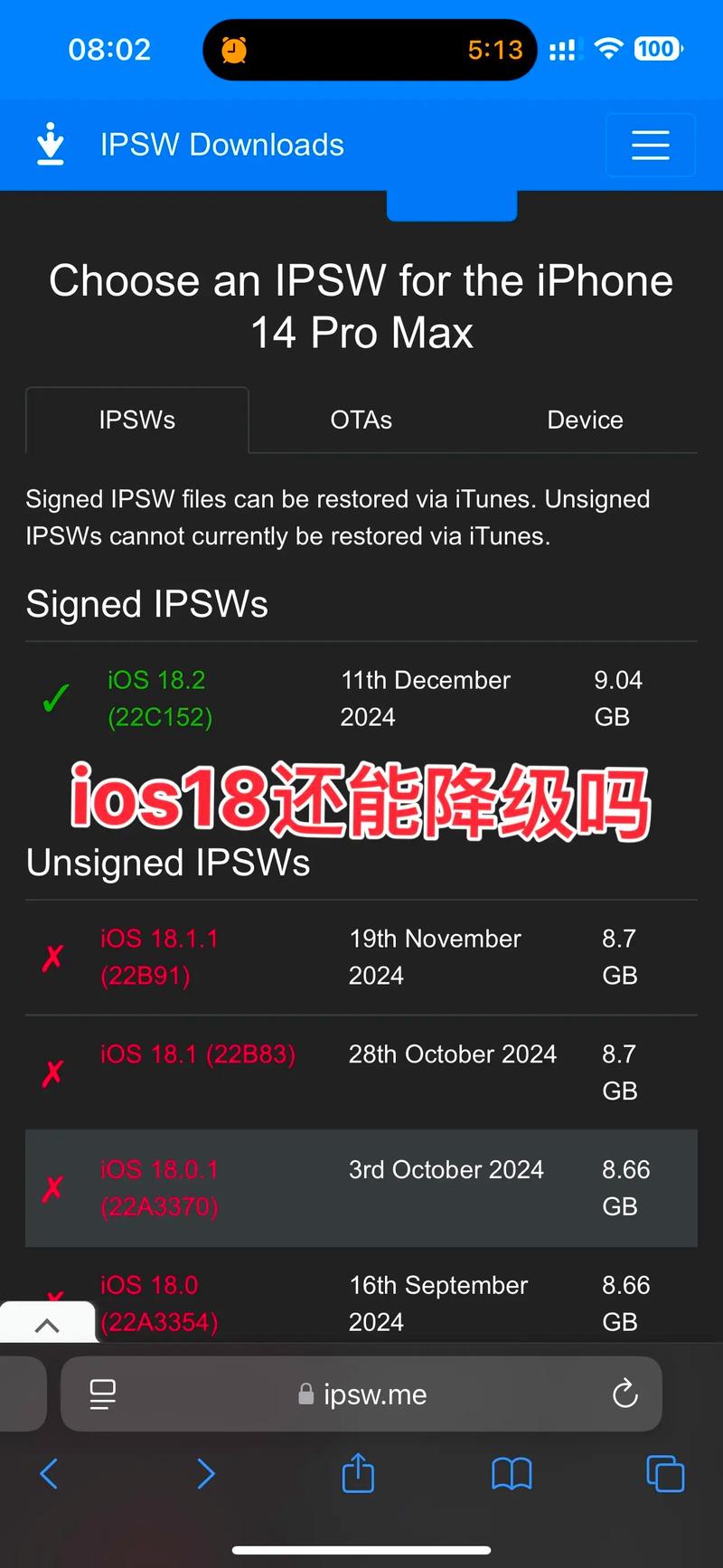 ios怎么下不了雷电圈了截图