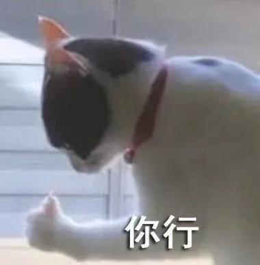 怎么设置打字出现相应的表情包