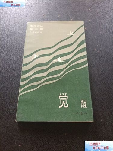新的觉醒awakening下载图标