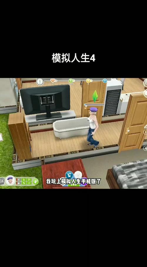 虚拟人生4缩略图