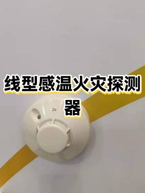 小米今日股价多少缩略图