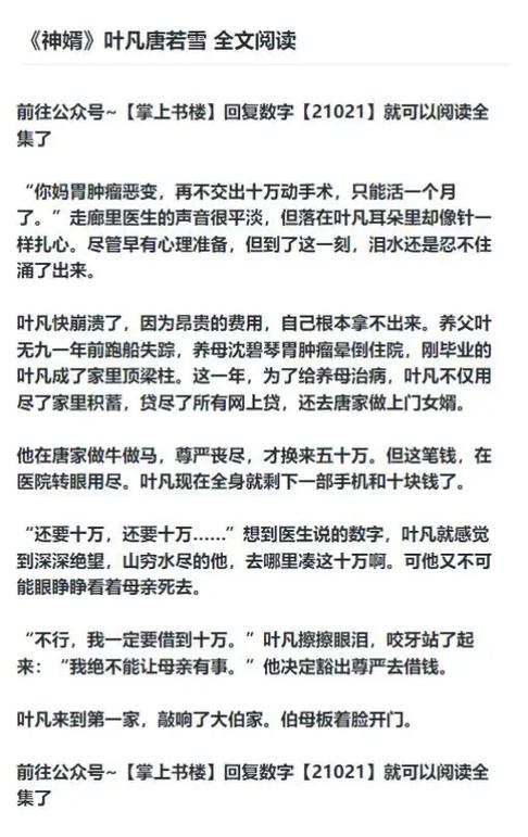 一世豪婿叶凡唐若雪