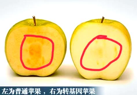 华为手机克隆到苹果截图