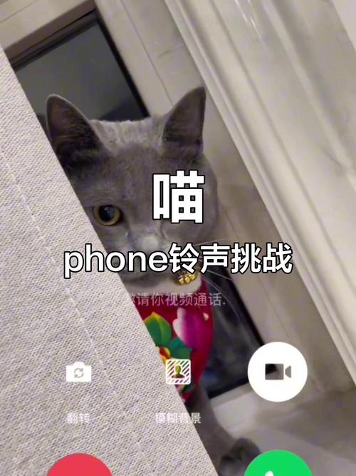 华为打电话怎么变成视频了呢截图