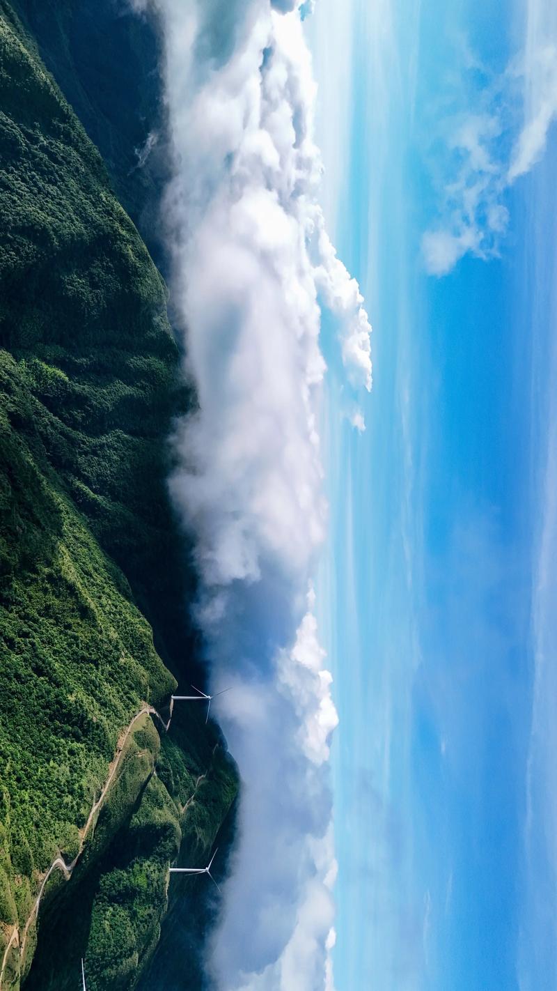 云海趣闻转发文章赚钱缩略图