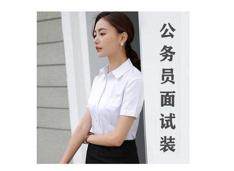 权柄下的女公务员们小说截图