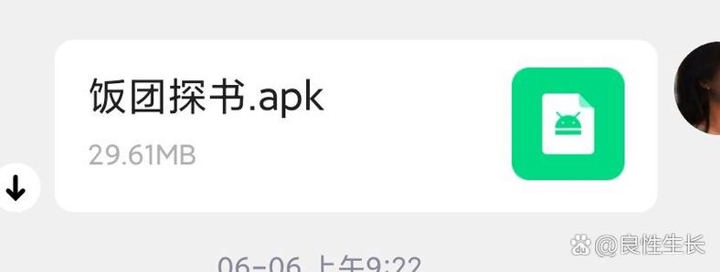 饭团探书旧版本大全图标
