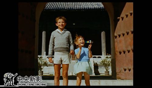 风筝影频app下载图标