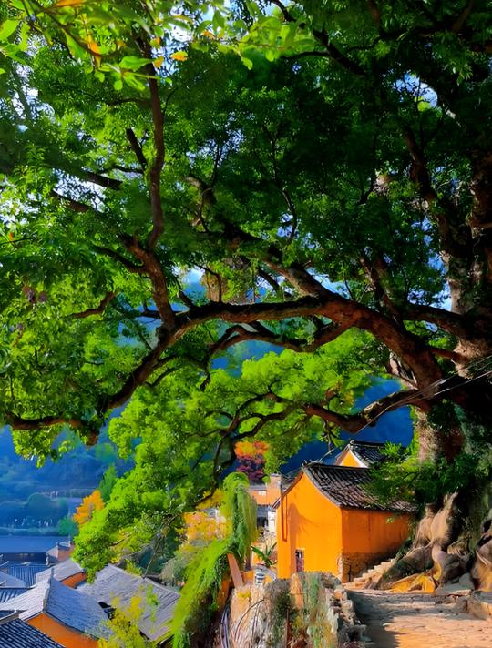 曲径通幽处的隐晦含义