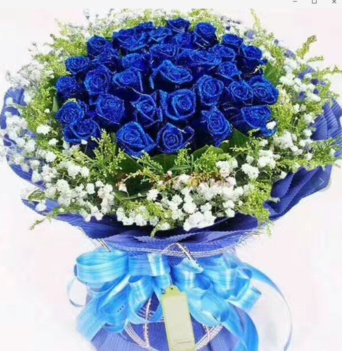 blued 老版本缩略图