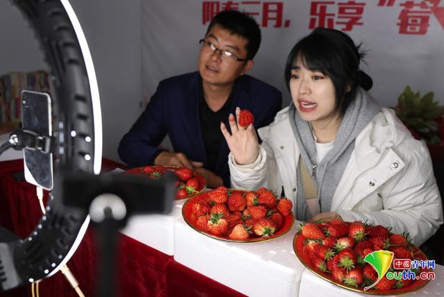 小草莓直播app安卓
