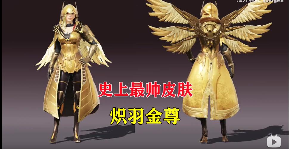 炽羽金尊美化包下载教程