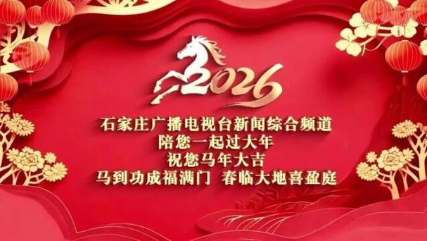 石家庄新闻综合频道1截图