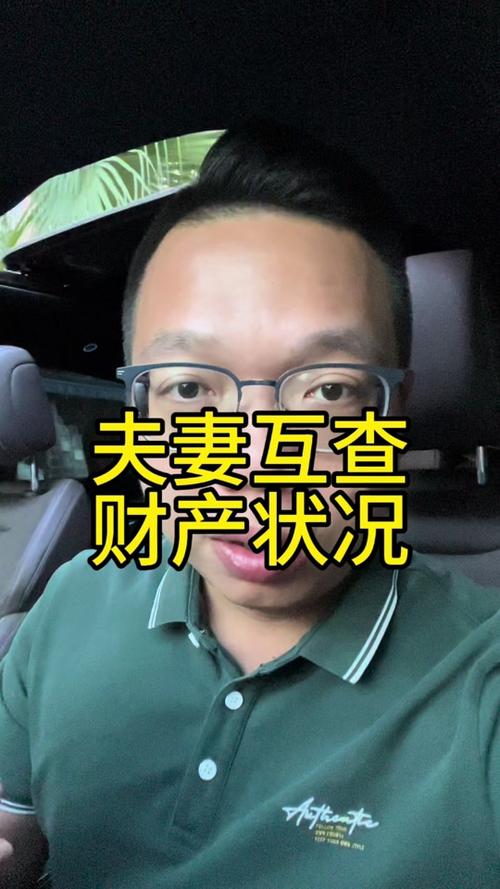 夫妻想查对方的财产怎么做截图