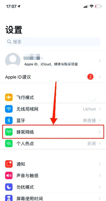 苹果手机关掉蜂窝还在走流量图标