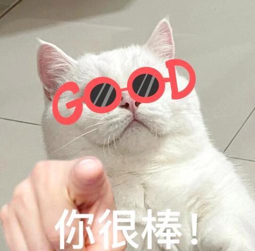 赞美的图片表情图片游戏截图