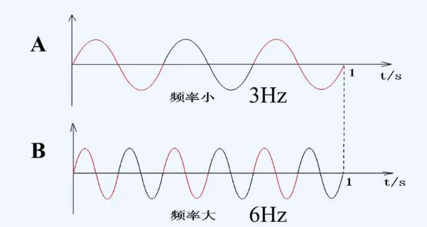 人体的震荡频率是多少赫兹截图