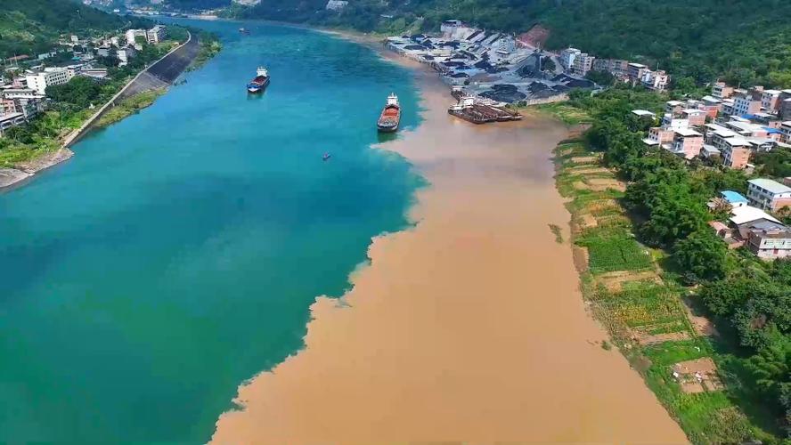 清浊下载截图