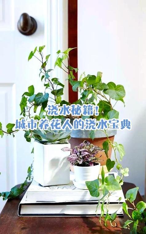 养水的正确方法图标