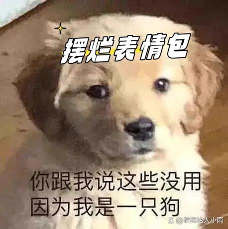 豪门太太摆烂离婚日常截图