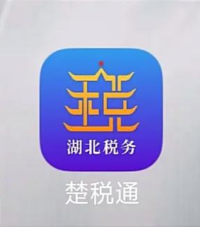 湖北楚税通app官方截图