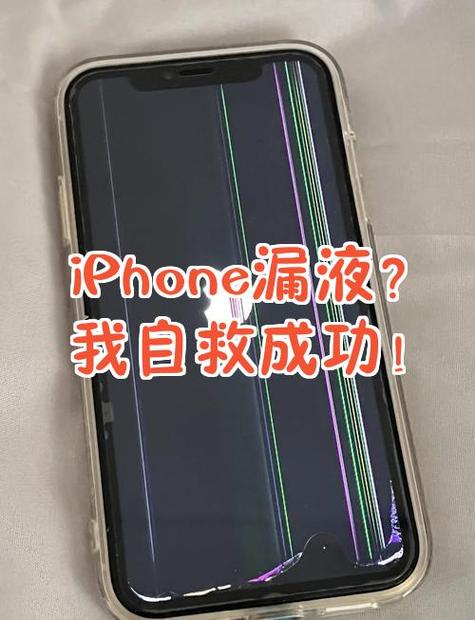 屏幕漏液还有救吗