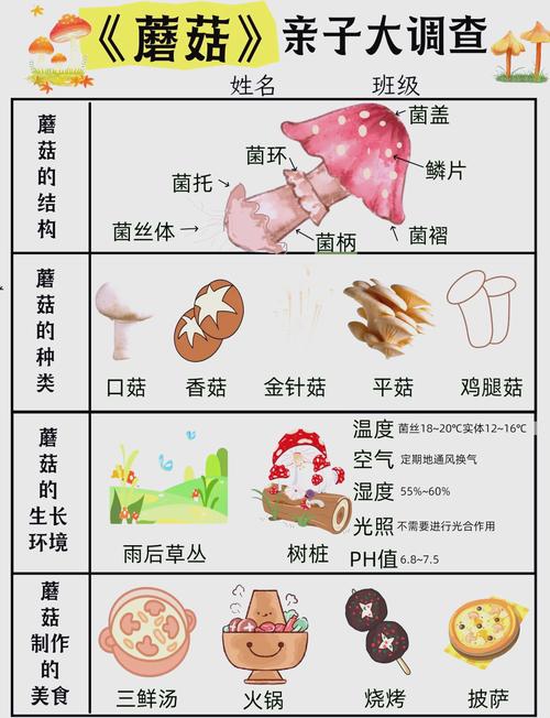 我的世界找到蘑菇岛的指令