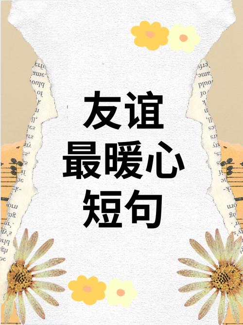 觅寻聊天交友软件缩略图