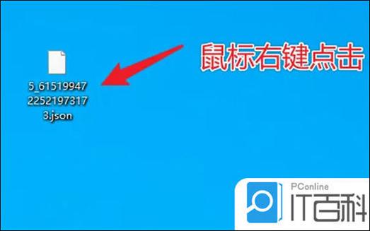 怎么打开json文件缩略图